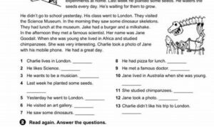 Year 6 Reading Comprehension Worksheets