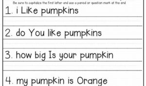 2nd Grade Paragraph Writing Worksheets